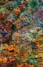 Viet Ha Tran - Wall of Nature LV