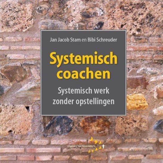 9789492331366 Systemisch coachen Jan Jacob Stam, Boeken, Psychologie, Nieuw, Verzenden