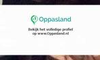 Ik ben Keamon, 16 jaar oud en ik zoek oppaswerk in Valken..., Diensten en Vakmensen, Dieren | Overige | Verzorging, Oppas en Les
