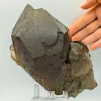 Enorme rozenkwarts alpino met groene chloriet, Mont Blanc,, Verzamelen, Mineralen en Fossielen