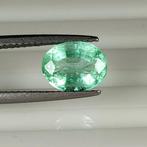 Zonder Minimumprijs - 1 pcs Groen Smaragd - 2.28 ct -, Sieraden, Tassen en Uiterlijk, Edelstenen, Nieuw