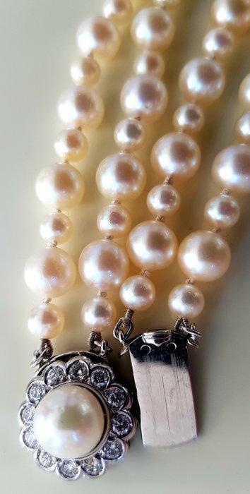 Halsketting - 18 karaat Witgoud Diamant (Natuurlijk), Sieraden, Tassen en Uiterlijk, Kettingen