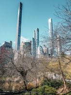 Fabio Accorrà - The Jungle in Manhattan, Antiek en Kunst