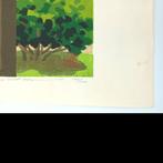 Byodoin TempleWisteria -1993 - Japanese Woodblock Print