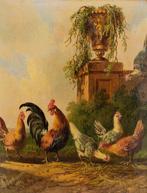 Albertus Verhoesen (1806-1881) - Chickens and hens