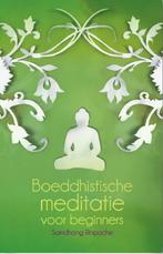 Boeddhistische meditatie voor beginners 9789045313078, Boeken, Verzenden, Gelezen, Rinpoche Samdhong