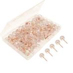 Push pins - Transparant Rose Gold - 100 stuks, Ophalen of Verzenden, Nieuw