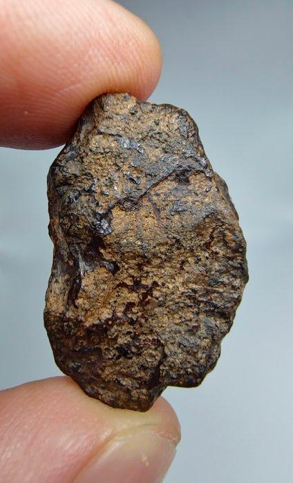 Dit is een van slechts 11 Meteorieten die zijn goedgekeurd, Verzamelen, Mineralen en Fossielen