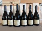 2024 Terlano Winkl Sauvignon Blanc - Trentino Alto Adige, Nieuw