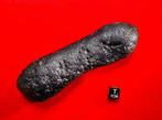 Tectite Guang Dong - Hoogte: 125 mm - Breedte: 38 mm - 171 g, Verzamelen, Mineralen en Fossielen