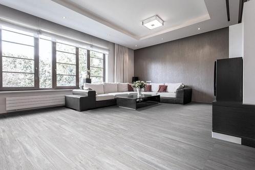 Vloertegel/Wandtegel Grijs 22,5x119,5cm (Vloeren) (Vloeren), Doe-het-zelf en Verbouw, Tegels, 20 tot 40 cm, 60 cm of meer, 10 m² of meer
