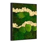 Vintlux Mosschilderij Lappenmos-Rendiermos-Bolmos 40x60 cm, Nieuw