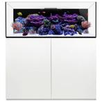 WaterBox REEF 130.4 wit, Ophalen of Verzenden, Nieuw