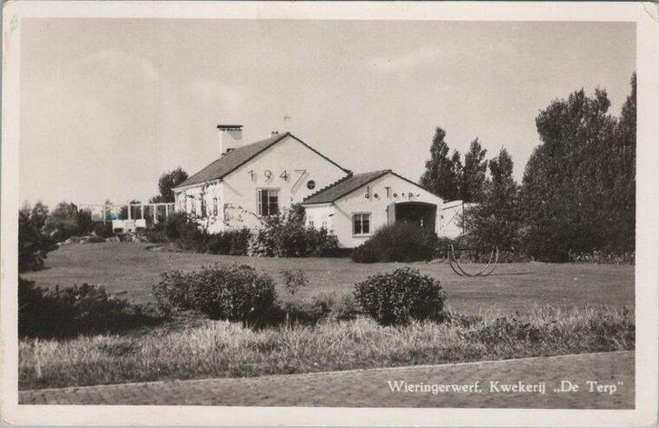 WIERINGERWERF - Kwekerij De Terp, Verzamelen, Ansichtkaarten | Nederland, Verzenden
