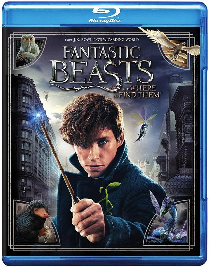 Fantastic Beasts And Where To Find Them (Blu-ray), Cd's en Dvd's, Blu-ray, Gebruikt, Verzenden