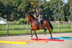 Zachte Hindernisbalk - Zwart, Dieren en Toebehoren, Paarden en Pony's | Overige Paardenspullen, Verzenden, Nieuw, Springen
