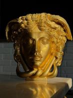 sculptuur, Golden Medusa Gorgona - 18 cm - Gips, beton