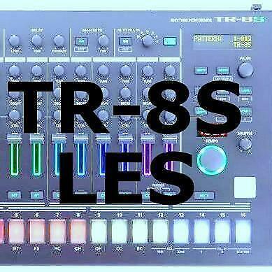 NEEM ROLAND TR-8S LES EN HAAL ALLES UIT JE TR-8S !, Muziek en Instrumenten, Drumcomputers, Nieuw