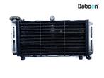 Radiateur Honda CB 600 F Hornet 2000-2002 (CB600F CB600S, Motoren, Onderdelen | Honda, Verzenden, Gebruikt