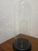 Globe - stolp - antiek - 1901-1920 - Antieke ronde stolp, Antiek en Kunst