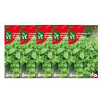 Citroenmelisse zaad | VT | 5 stuks, Verzenden