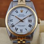 Rolex - Oyster perpetual Datejust  Buckley Dial  -, Nieuw