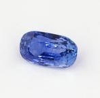 Blauw Saffier - 3.34 ct - International Gemological, Nieuw