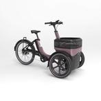 Van Raam Thuja driewielfiets voor volwassenen – Dusty Taupe, Ophalen of Verzenden, Nieuw, Van Raam