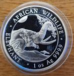 Somalië. 100 Schilling 2023 (Zonder minimumprijs)