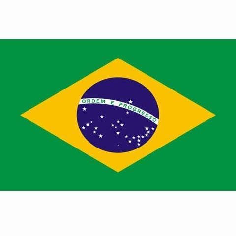 Braziliaanse vlag, vlag Brazilië, Diversen, Vlaggen en Wimpels, Verzenden