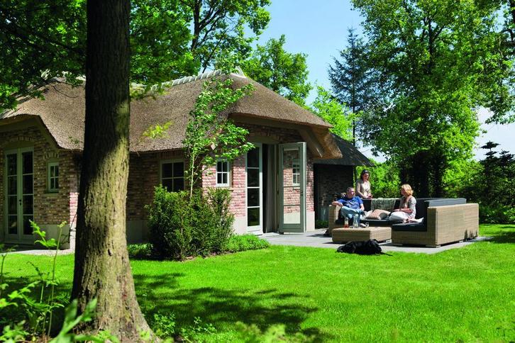 Boek nu jouw verblijf op de Veluwe!, Vakantie, Vakantie | Aanbiedingen en Last minute, Bemiddelingsbureau