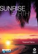 Sunrise earth-tropical palms - DVD, Cd's en Dvd's, Dvd's | Documentaire en Educatief, Verzenden