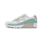 Nike Air Max 90 Cannon - Diverse maten, Ophalen of Verzenden, Nieuw