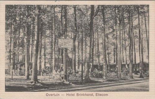 ELLECOM - Overtuin - Hotel Brinkhorst, Verzamelen, Ansichtkaarten | Nederland, Verzenden