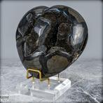 Natuurlijkse Septarien Herz uit Madagaskar. Drachen Herz-