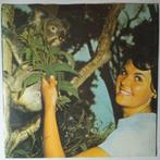 Sports, The - Who Listens To The Radio? - Single, Cd's en Dvd's, Vinyl Singles, Verzenden, Nieuw in verpakking