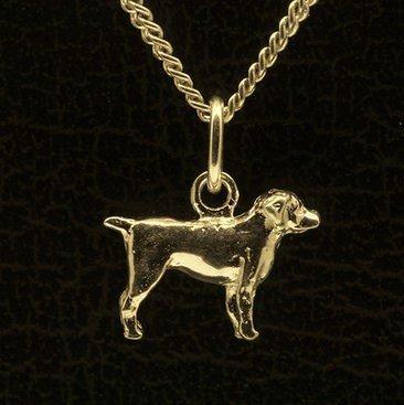 Gouden Entlebucher Sennenhond ketting hanger - klein, Sieraden, Tassen en Uiterlijk, Kettinghangers, Verzenden