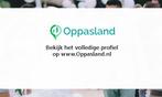 Emmely zoekt een oppas in Didam voor 1 kind., Vacatures, Vacatures | Vakantiewerk