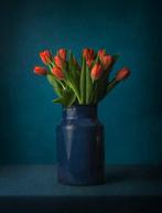 Tessa Posthuma de Boer - Tulips #5
