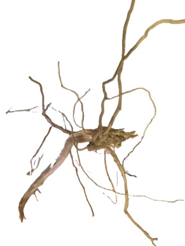 Driftwood Selected DW9 - 55x30x30cm (Small drift wood), Dieren en Toebehoren, Vissen | Aquaria en Toebehoren, Plant(en), Steen of Hout