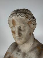 Buste, Venere - 54 cm - Marmer, Antiek en Kunst, Antiek | Keramiek en Aardewerk