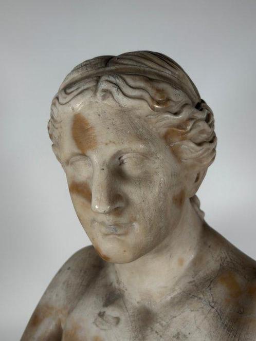 Buste, Venere - 54 cm - Marmer, Antiek en Kunst, Antiek | Keramiek en Aardewerk