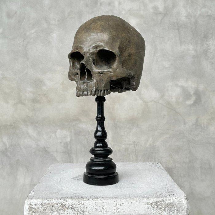 Beeld, NO RESERVE PRICE - Stunning human skull statue on a, Antiek en Kunst, Kunst | Designobjecten