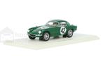 Lotus Elite S5076 Spark Models  Modelauto 1:43 1959  John, Hobby en Vrije tijd, Modelauto's | 1:43, Verzenden, Nieuw