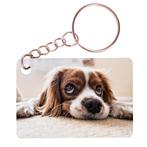 Sleutelhanger 6x4cm - Cocker Spaniel Hond Liggend op Snuit N, Ophalen of Verzenden, Nieuw