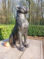 Beeld, garden statue in bronze color of a leopard - 60 cm -