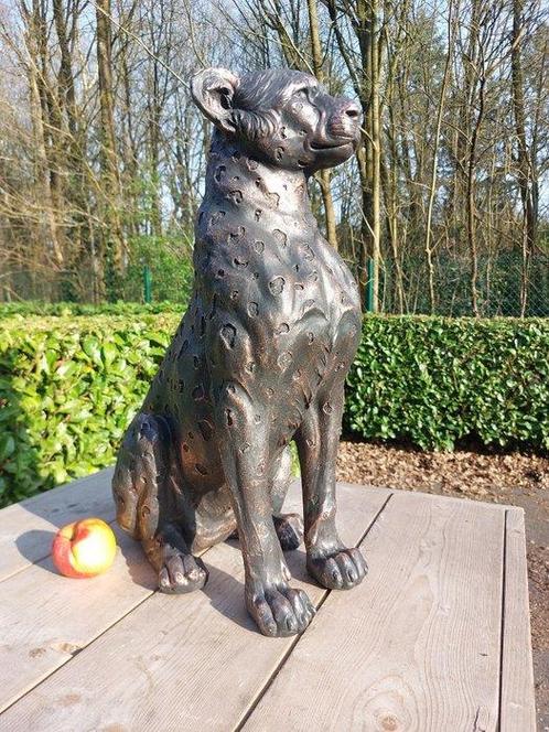 Beeld, garden statue in bronze color of a leopard - 60 cm -, Antiek en Kunst, Curiosa en Brocante