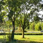 Eengezinswoning met tuin, parkeerplaats en huizenruil