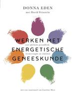 Boek: Werken met energetische geneeskunde - (als nieuw), Boeken, Verzenden, Zo goed als nieuw