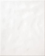 Wandtegel Rako WAAG6000 Glans Wit 20x25 (Muurtegels), Doe-het-zelf en Verbouw, Tegels, Nieuw, Ophalen of Verzenden, 20 tot 40 cm
